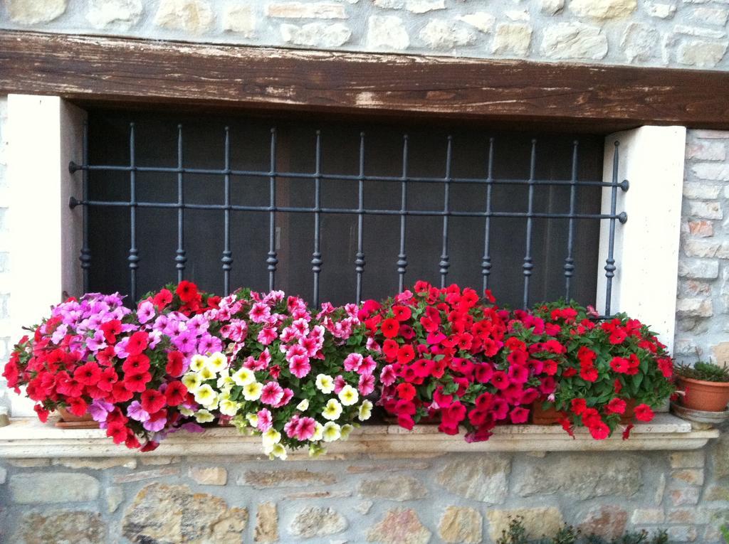 Agriturismo La Cantina Ascoli Piceno Exterior photo